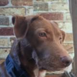 (Category: ) located in . Submitted by hooman422 (Listing ID 1465072566, Image 1). Description: .