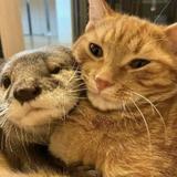 (Category: ) located in . Submitted by bunnyburrito (Listing ID 1447746238, Image 1). Description: .