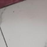 (Category: ) located in . Submitted by khairzone_6baa32 (Listing ID 1447408328, Image 1). Description: .