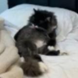 (Category: ) located in . Submitted by wweixing (Listing ID 1446642440, Image 1). Description: .