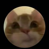 (Category: ) located in . Submitted by ninis88 (Listing ID 1458824786, Image 1). Description: .