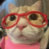 (Category: ) located in . Submitted by jienieinthebottle (Listing ID 1452195282, Image 1). Description: .