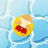(Category: ) located in . Submitted by comfypace (Listing ID 1447064993, Image 1). Description: .