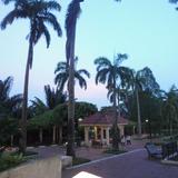 (Category: ) located in . Submitted by dhar4 (Listing ID 1447069356, Image 1). Description: .