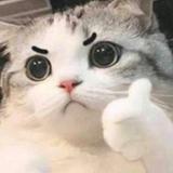 (Category: ) located in . Submitted by floofyfox (Listing ID 1447271047, Image 1). Description: .