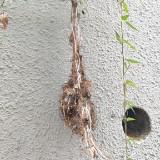 (Category: ) located in . Submitted by tt2012 (Listing ID 1446821822, Image 1). Description: .