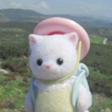 (Category: ) located in . Submitted by eomnomnom (Listing ID 1447628346, Image 1). Description: .