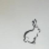 (Category: ) located in . Submitted by ellyforest (Listing ID 1448001824, Image 1). Description: .