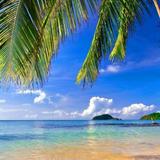 (Category: ) located in . Submitted by marketer888 (Listing ID 1447538365, Image 1). Description: .