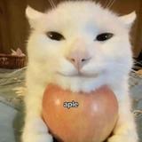 (Category: ) located in . Submitted by marshmellos (Listing ID 1447757926, Image 1). Description: .