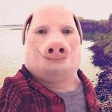(Category: ) located in . Submitted by mrjohnpork (Listing ID 1448060314, Image 1). Description: .