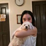 (Category: ) located in . Submitted by xania_danielle03 (Listing ID 1442738863, Image 1). Description: .