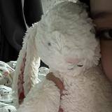 (Category: ) located in . Submitted by c_chloeers (Listing ID 1448164604, Image 1). Description: .