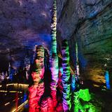 (Category: ) located in . Submitted by cat.anything (Listing ID 1445992645, Image 1). Description: .