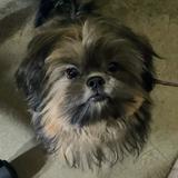 (Category: ) located in . Submitted by dubi.baho (Listing ID 1449812098, Image 1). Description: .