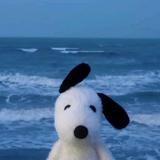 (分類:)位於 。 由 yu_._. 提交(商品編號 1448159444,圖片 1)。簡介: 。
