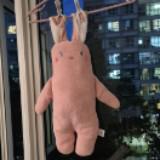 (Category: ) located in . Submitted by venicel.nice (Listing ID 1448385525, Image 1). Description: .