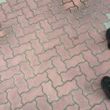 (Category: ) located in . Submitted by happytree_078679 (Listing ID 1448449761, Image 1). Description: .