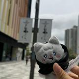 (分類:)位於 。 由 ee12122026 提交(商品編號 1454718442,圖片 1)。簡介: 。