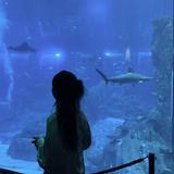 (Category: ) located in . Submitted by christore_ (Listing ID 1448533262, Image 1). Description: .