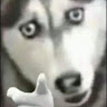 頭像