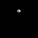 (Category: ) located in . Submitted by whatsup.whale (Listing ID 1448635576, Image 1). Description: .