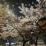 (分類:)位於 。 由 ccss00 提交(商品編號 1455126633,圖片 1)。簡介: 。