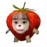 (Category: ) located in . Submitted by gabbyyxy (Listing ID 1448996508, Image 1). Description: .