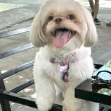 (Category: ) located in . Submitted by mamalove70 (Listing ID 1449067616, Image 1). Description: .