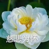 (分類:)位於 。 由 olimpia-lindgren 提交(商品編號 1470577947,圖片 1)。簡介: 。
