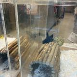 (Category: ) located in . Submitted by v3rnn (Listing ID 1449019275, Image 1). Description: .