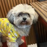(Category: ) located in . Submitted by lozadamich17670 (Listing ID 1449118811, Image 1). Description: .