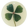 (Category: ) located in . Submitted by ariah.a1 (Listing ID 1461861676, Image 1). Description: .
