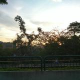 (Category: ) located in . Submitted by raeofg2p (Listing ID 1449295395, Image 1). Description: .