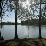 (Category: ) located in . Submitted by coastalwaters (Listing ID 1455007900, Image 1). Description: .