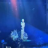 (分類:)位於 。 由 yiming_elf 提交(商品編號 1438476994,圖片 1)。簡介: 。