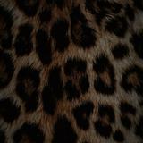(Category: ) located in . Submitted by nxrallisyx (Listing ID 1450773656, Image 1). Description: .