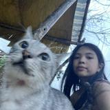 (Category: ) located in . Submitted by whatellzzz (Listing ID 1449825748, Image 1). Description: .