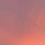 (Category: ) located in . Submitted by ilovesushitei (Listing ID 1450563558, Image 1). Description: .