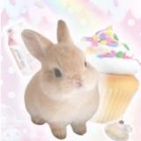 (Category: ) located in . Submitted by mochi0707 (Listing ID 1450206576, Image 1). Description: .