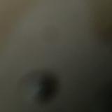 (Category: ) located in . Submitted by bumsss (Listing ID 1447772294, Image 1). Description: .