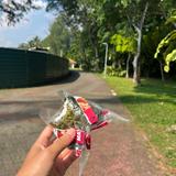 (Category: ) located in . Submitted by anaseuz (Listing ID 1446675878, Image 1). Description: .