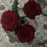(Category: ) located in . Submitted by niza02 (Listing ID 1470241077, Image 1). Description: .