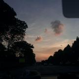 (Category: ) located in . Submitted by flowerytipsy (Listing ID 1450898829, Image 1). Description: .