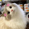 (Category: ) located in . Submitted by prelovedbyaquee (Listing ID 1457136891, Image 1). Description: .