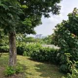 (Category: ) located in . Submitted by pan14756 (Listing ID 1453012652, Image 1). Description: .