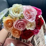 (Kategori: ) berada di . Dikirim oleh elokrenva (ID iklan 1468366685, Gambar 1). Deskripsi: .