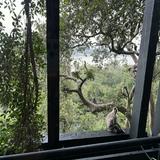 (Category: ) located in . Submitted by eshwaranvk (Listing ID 1451399279, Image 1). Description: .