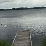 (Category: ) located in . Submitted by me123.357 (Listing ID 1451368914, Image 1). Description: .