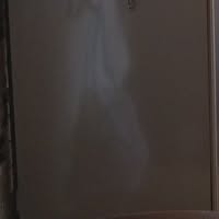 (分類:)位於 。 由 i.c.m.n. 提交(商品編號 1458589332,圖片 1)。簡介: 。